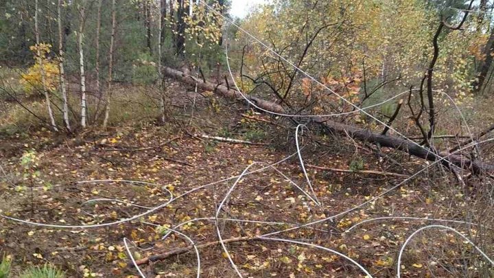 Сильний вітер пошкодив електромережі на Київщині