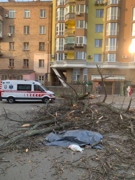 Наслідки негоди: у Києві дерево вбило жінку