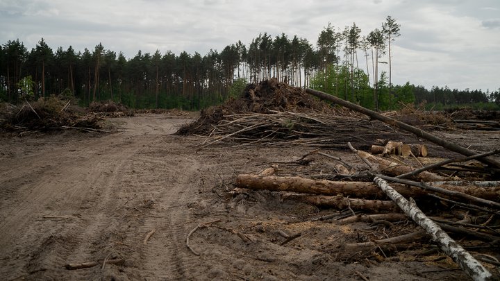 Громадськість простить владу провести відкритий конкурс на проєкт і будівництво Національного військового кладовища