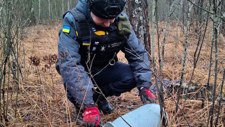 На Київщині у лісі знайшли бойову частину безпілотника "Герань"-2