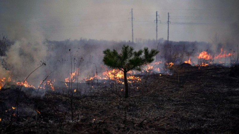 В одному з районів загорілася трава та кущі: росіяни запустили по Києву безпілотники