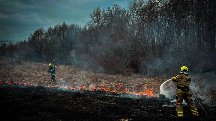 На Київщині спалювання сухої трави призвело до масштабної пожежі, зайнялися будинки
