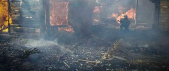 На Київщині спалювання сухої трави призвело до масштабної пожежі, зайнялися будинки