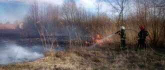 На Київщині загинули люди під час спалювання сухої трави