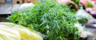 Продуктовые ярмарки в Киеве 29 апреля - 2 мая: адреса