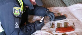 Подвійне вбивство у Софіївській Борщагівці: підозрюваного відправили під варту