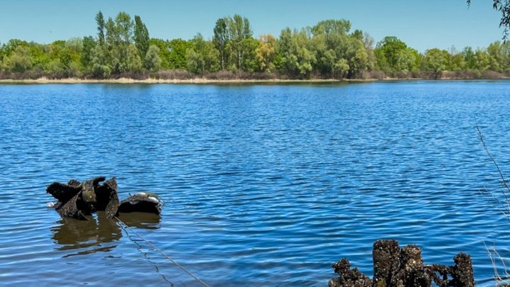 У Києві купальний сезон-2025 офіційно під забороною: містян просять утриматися від походів на пляж