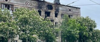 Під час дронової атаки на Київ загинула сім'я волонтерів і п'ять котів, одного вдалося врятувати