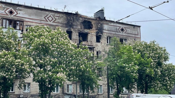 Під час дронової атаки на Київ загинула сім'я волонтерів і п'ять котів, одного вдалося врятувати