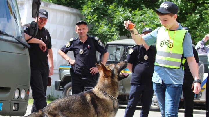 Собаки та коти з 60 притулків цими вихідними шукали собі нову родину: у Києві відбувся фестиваль адопції тварин