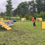 Каністерапія та вирощування рослин: у Києві запрацював простір емоційної підтримки "База 4.5.0"