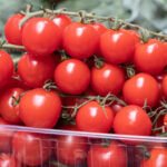 Продуктовые ярмарки в Киеве 10-11 мая: адреса