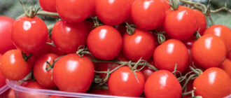 Продуктовые ярмарки в Киеве 10-11 мая: адреса