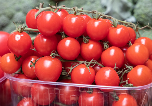 Где в эти выходные в Киеве пройдут продуктовые ярмарки. Адреса 