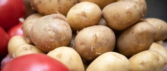 Продуктовые ярмарки в Киеве 20-23 мая: адреса