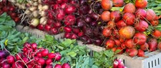 Продуктовые ярмарки в Киеве 17-18 мая: адреса