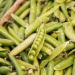 Продуктовые ярмарки в Киеве 21 - 22 июня: адреса