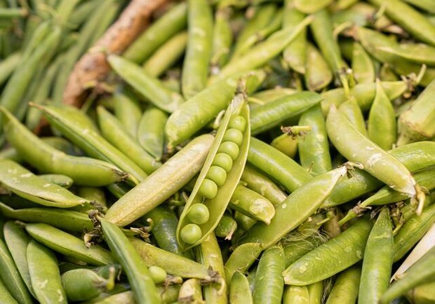 Где в эти выходные в Киеве пройдут продуктовые ярмарки. Адреса 