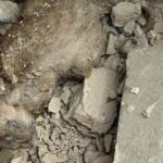 У Києві з-під уламків після ракетного удару вибралась травмована кішка