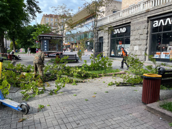 Вітер повалив дерево біля станції метро "Хрещатик" у Києві