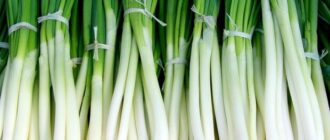 Продуктовые ярмарки в Киеве 7 - 8 июня: адреса