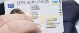 Где искать номер и серию ID-паспорта: подробный гайд