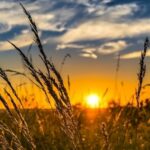 День летнего солнцестояния-2025: все о самом длинном дне года