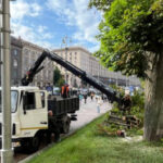 Вітер повалив дерево біля станції метро "Хрещатик" у Києві