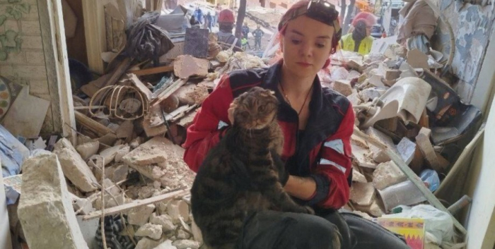 кот под завалами, спасение кота, обстрел киева. ракетная атака
