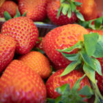 Продуктовые ярмарки в Киеве 24-27 июня: адреса