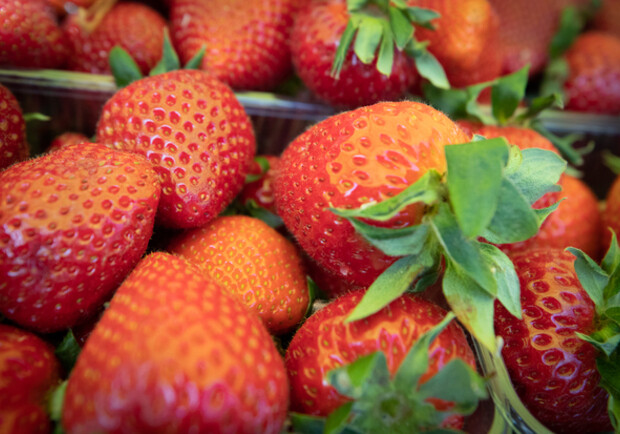 Где на этой неделе в Киеве пройдут продуктовые ярмарки. Адреса 