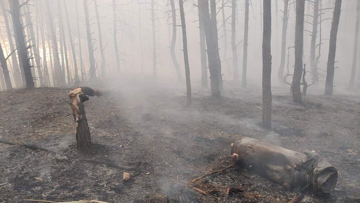 Горить через дрони: в лісах на Київщині збільшують кількість команд для гасіння пожеж