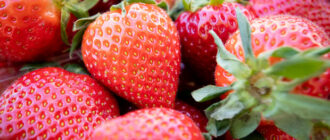 Продуктовые ярмарки в Киеве 3-6 июня: адреса