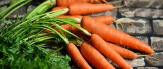 Продуктовые ярмарки в Киеве 28 – 15 июня: адреса
