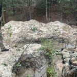 У Броварах відбудеться одноденний курс підготовки до нацспротиву: як записатися