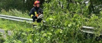 На Київщині 40 тисяч родин залишаються без світла через негоду