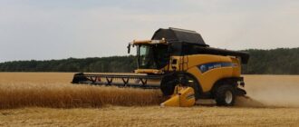 На Київщині розпочалися жнива: яка врожайність