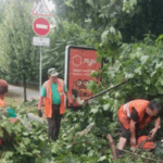 В Киеве из-за непогоды пострадали пятеро человек
