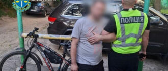 В Киеве обстреляли автомобиль волонтерки