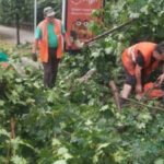 У Києві через негоду постраждали п'ять людей, серед них – 13-річна дівчинка