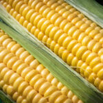 Продуктовые ярмарки в Киеве 8 - 11 июля: адреса