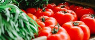 Продуктовые ярмарки в Киеве 12 - 13 июля: адреса