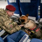 Укрзалізниця оновила правила перевезення домашніх тварин