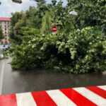 Ураган в Киеве: в городе более 30 поваленных деревьев, есть пострадавшие (фото, видео)