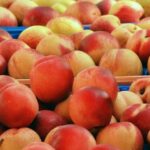Продуктовые ярмарки в Киеве 19 – 20 июля: адреса