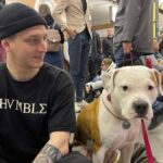 Перевезення собак у метро: у Києві почалося опитування стосовно зміни правил