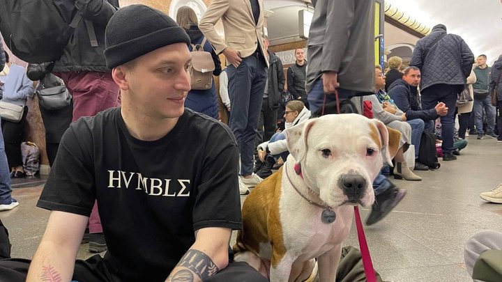 Перевезення собак у метро: у Києві почалося опитування стосовно зміни правил