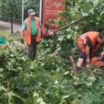 У Києві через грозу та шквальний вітер 5 людей опинися у лікарні, повалені дерева і впав будівельний кран