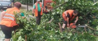 У Києві через грозу та шквальний вітер 5 людей опинися у лікарні, повалені дерева і впав будівельний кран