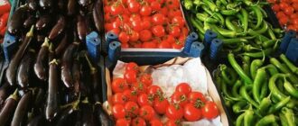 Продуктовые ярмарки в Киеве 2 - 3 августа: адреса